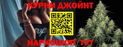 МДПВ Моздок