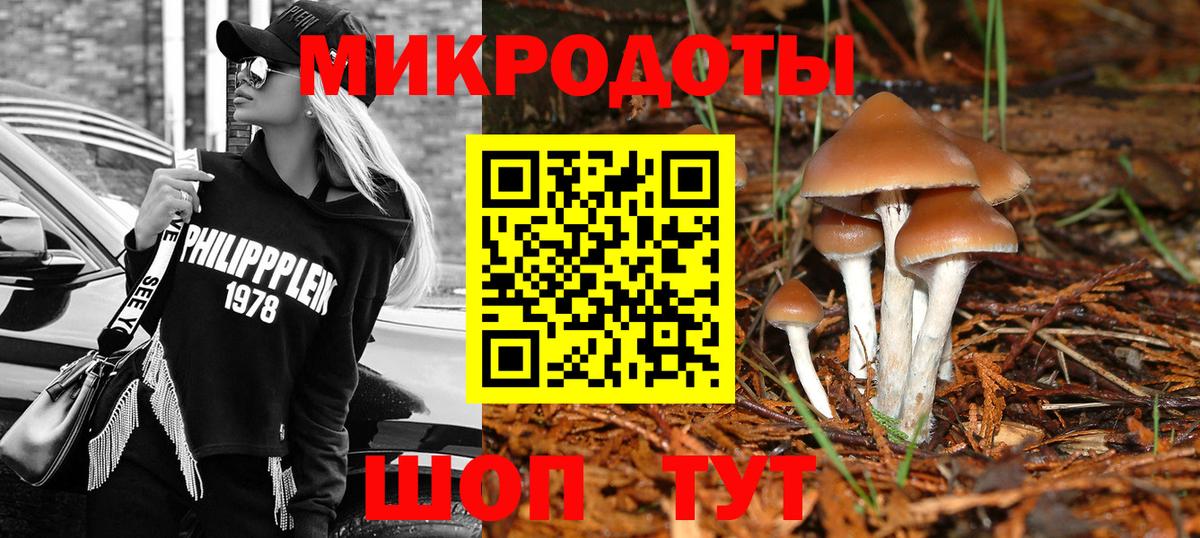 Псилоцибиновые грибы Magic Shrooms  Вход с VPN  Чехов  Галлюциногенные грибы ЛСД 