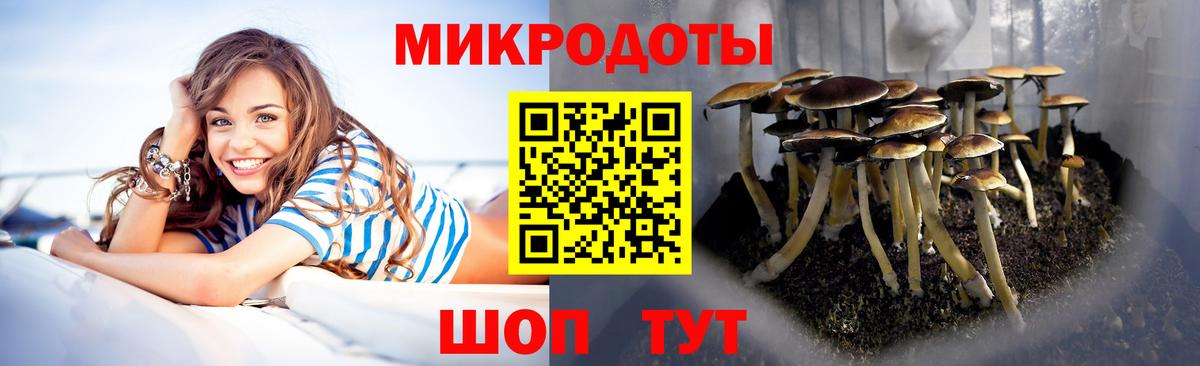 Псилоцибиновые грибы ЛСД Чехов